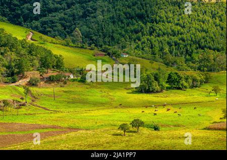 La vita rurale a Serra Catarinense, Santa Catarina, Brasile Foto Stock