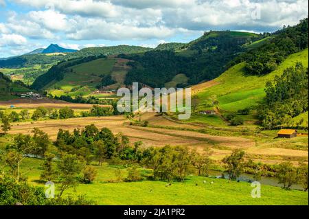 La vita rurale a Serra Catarinense, Santa Catarina, Brasile Foto Stock