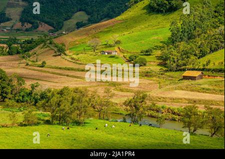 La vita rurale a Serra Catarinense, Santa Catarina, Brasile Foto Stock