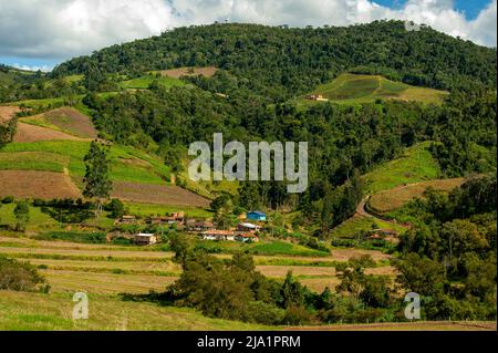 La vita rurale a Serra Catarinense, Santa Catarina, Brasile Foto Stock