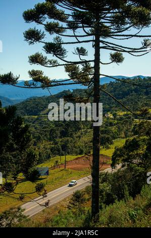 Strada che attraversa le valli a Urubici, Serra Catarinense, Santa Catarina, Brasile Foto Stock