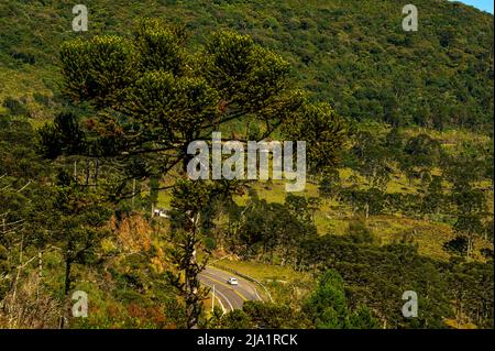Strada che attraversa le valli a Urubici, Serra Catarinense, Santa Catarina, Brasile Foto Stock
