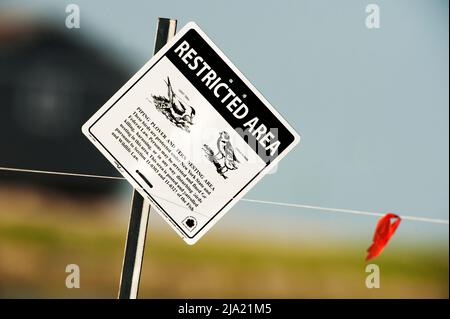 Cartello per l'area riservata del Plover Piping e della Tern Foto Stock