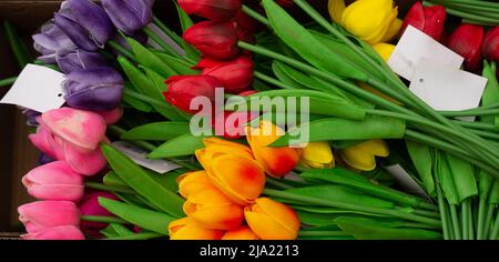 Arte floreale fatta di colorati Rose artificiali in vista Foto Stock