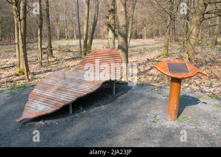 Lettini rilassanti lungo la strada, lettino costruito a forma di foglia, Wilder Kermeter Eifel National Park, Renania settentrionale-Vestfalia, Germania Foto Stock