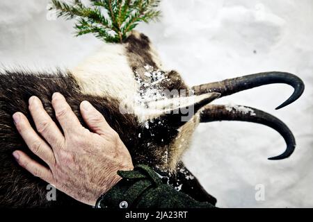 Caccia ai monti Karwendel, Tirolo, Austria Foto Stock