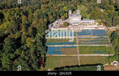 Foto drone, colpo di drone, vista sui castelli dell'Elba, Lingnerschloss, vigneti, prati dell'Elba, pista ciclabile dell'Elba, Elba Firenze, autunno, Dresda, Sassonia Foto Stock