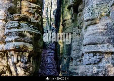 Mullerthal Trail, sentiero escursionistico attraverso il paesaggio roccioso selvaggio con scogliere di arenaria, Little Luxembourg Svizzera, Mullerthal o Mullerthal Foto Stock