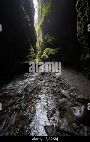 Escursionista in gola coperta di muschio, fiume nella gola di Nauthusagil, Islanda meridionale, Islanda Foto Stock