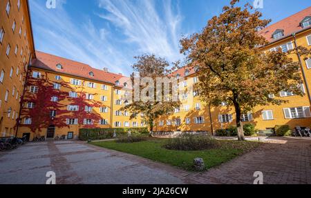 Cortile interno con condomini gialli, Borstei, tenuta residenziale protetta dal patrimonio, in autunno, quartiere Moosach, Monaco, Baviera, Germania Foto Stock