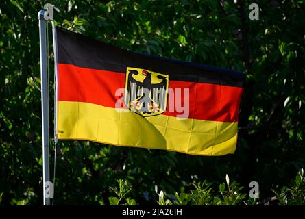 Bandiera tedesca con aquila federale in flagpole, Stoccarda, Baden-Wuerttemberg, Germania Foto Stock