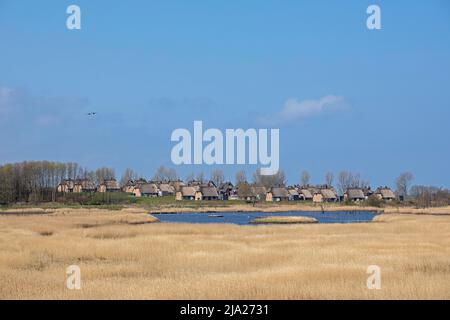 Villaggio vacanze Reetdorf Geltinger Birk, riserva naturale Geltinger Birk, Geltinger bight, Schleswig-Holstein, Germania Foto Stock