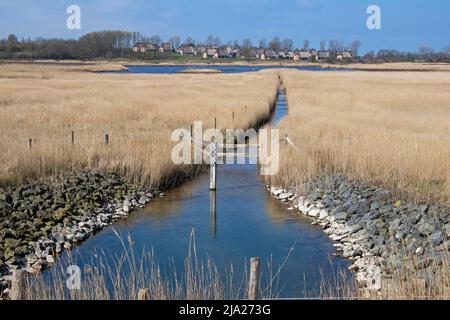 Villaggio di vacanze Reetdorf Geltinger Birk e Vernaessung, riserva naturale Geltinger Birk, Geltinger bight, Schleswig-Holstein, Germania Foto Stock