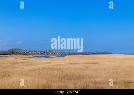 Villaggio vacanze Reetdorf Geltinger Birk, riserva naturale Geltinger Birk, Geltinger bight, Schleswig-Holstein, Germania Foto Stock