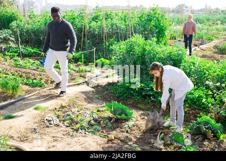 ragazza con pala e i suoi genitori che lavorano in un giardino Foto Stock