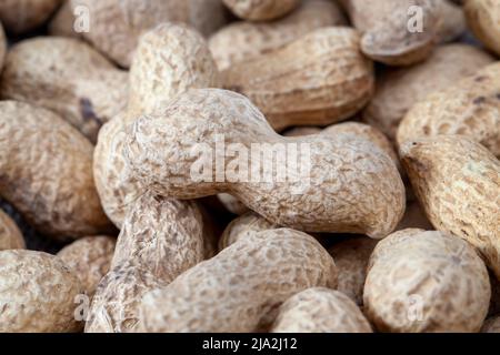 arachidi mature nel guscio, un gruppo di arachidi tostate nel guscio senza sale Foto Stock
