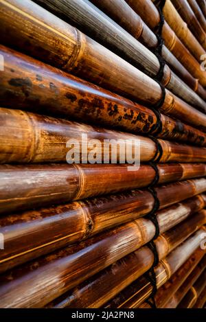 Bagnato, pannello di parete di bambù naturale dopo la pioggia. Foto Stock