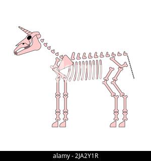Scheletro unicorno isolato. Cavallo magico con ossa di corno. Illustrazione vettoriale Illustrazione Vettoriale