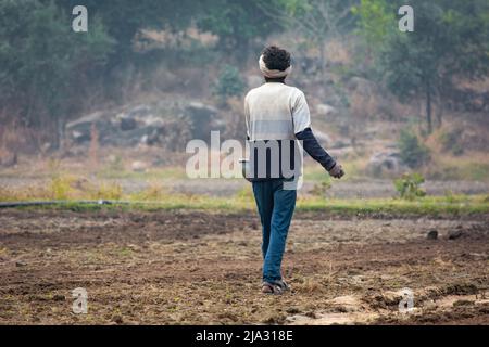 TIKAMGARH, MADHYA PRADESH, INDIA - 14 MAGGIO 2022: Coltivatore che sparge semi di grano con le mani nel campo. Foto Stock