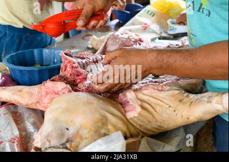 Preparazione e condimento di un piccolo suino da succhiare per cucinare su un fuoco di legno Foto Stock