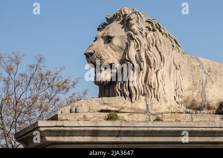 La statua in pietra del leone si trova sul suo piedistallo. Foto Stock