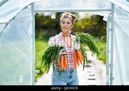 Giovane donna giardiniera con carote in serra Foto Stock