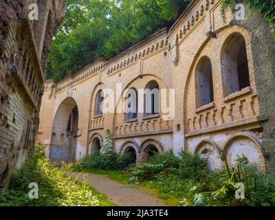 Fortezza abbandonata fuori, rovinata cittadella boscosa Tarakaniv, Ucraina Foto Stock