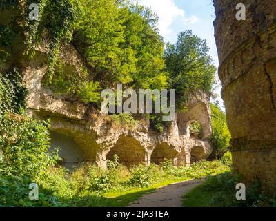 Fortezza abbandonata fuori, rovinata cittadella boscosa Tarakaniv, Ucraina Foto Stock