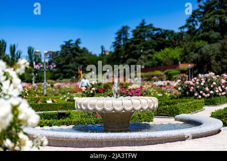 Fontana. Fontana di pietra piena di acqua con un'esplosione di primavera con fiori colorati in tutto il parco di Madrid in una giornata limpida Foto Stock