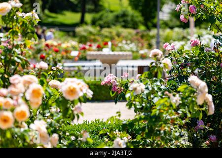 Fontana. Fontana di pietra piena di acqua con un'esplosione di primavera con fiori colorati in tutto il parco di Madrid in una giornata limpida Foto Stock