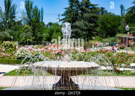 Fontana. Fontana di pietra piena di acqua con un'esplosione di primavera con fiori colorati in tutto il parco di Madrid in una giornata limpida Foto Stock