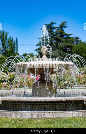 Fontana. Fontana di pietra piena di acqua con un'esplosione di primavera con fiori colorati in tutto il parco di Madrid in una giornata limpida Foto Stock