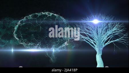 Immagine del cervello che ruota su sfondo nero con luci e albero Foto Stock