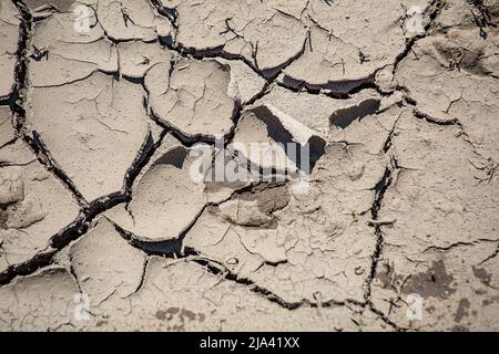 Asciugando suolo incrinato Foto Stock