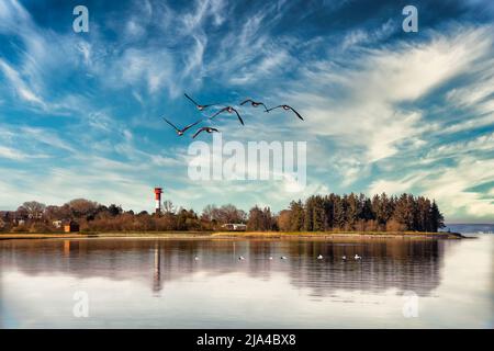 Interpretazione della penisola di Holnis nel fiordo di Flensburg tra Danimarca e Germania Foto Stock