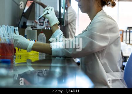 Giovane ricercatrice che lavora su guanti e accappatoio da laboratorio nell'armadio a flusso, utilizzando pipette automatiche e provette con cellule e prodotti chimici Foto Stock