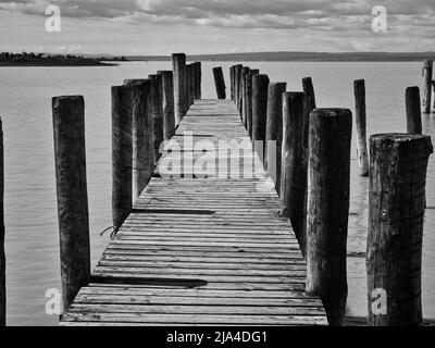 Ponte di legno su pilastri su Neusiedlersee in bianco e nero, Austria Foto Stock