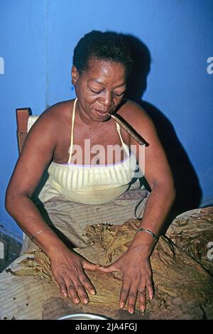 Donna cubana che arrotola sigari e fuma cuba, fabbrica di sigari a Pinar del Rio, Cuba, Caraibi Foto Stock