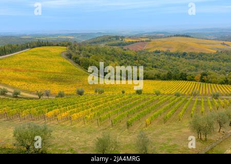 Paesaggio aereo sui vigneti terrazzati del borgo enogrario toscano Radda in Chianti nell'appennino toscano-emiliano. Campagna italiana vicina Foto Stock