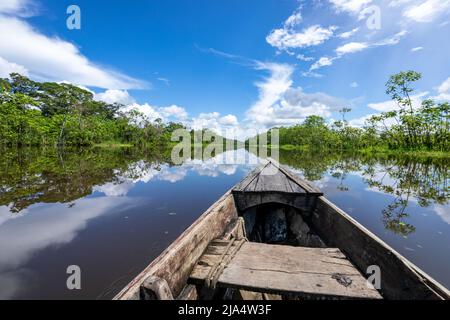 Amazon Rainforest Riverbank. Naviga lungo il fiume Yanayacu nella giungla amazzonica, vicino a Iquitos, Perù. Sud America. Foto Stock