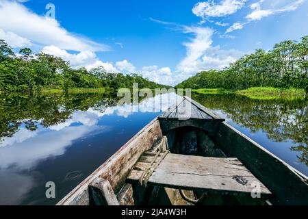 Amazon Rainforest Riverbank. Naviga lungo il fiume Yanayacu nella giungla amazzonica, vicino a Iquitos, Perù. Sud America. Foto Stock