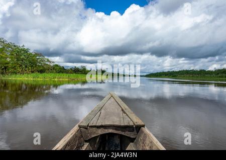 Amazon Rainforest Riverbank. Naviga lungo il fiume Yanayacu nella giungla amazzonica, vicino a Iquitos, Perù. Sud America. Foto Stock