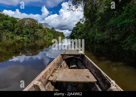 Amazon Rainforest Riverbank. Naviga lungo il fiume Yanayacu nella giungla amazzonica, vicino a Iquitos, Perù. Sud America. Foto Stock