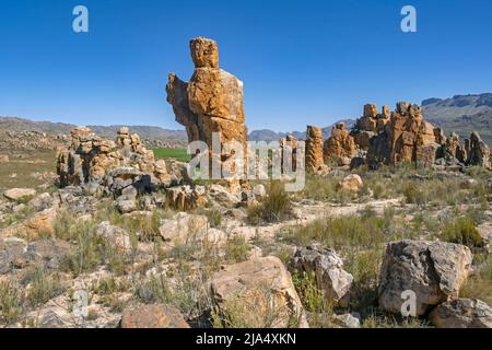 Formazioni rocciose di arenaria sul sentiero escursionistico della moglie del Lot a Dwarsrivier, montagne di Cedersberg vicino a Clanwilliam, Capo Occidentale, Sudafrica Foto Stock