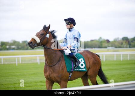 Jockey Jack Duern su fine Wine alle corse di York. Foto Stock