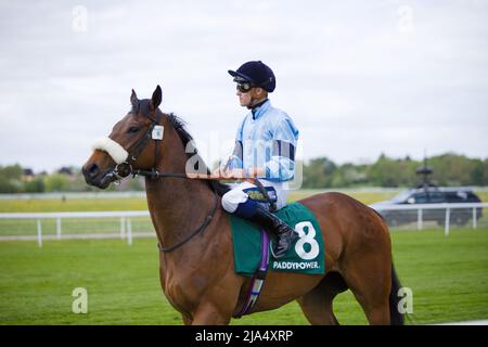 Jockey Jack Duern su fine Wine alle corse di York. Foto Stock