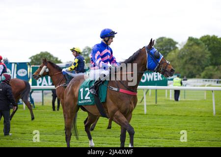 Jockey Jack Duern su fine Wine alle corse di York. Foto Stock