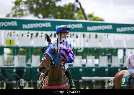 Jockey Jack Duern su fine Wine alle corse di York. Foto Stock