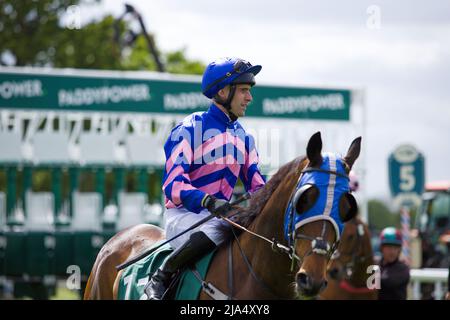 Jockey Jack Duern su fine Wine alle corse di York. Foto Stock