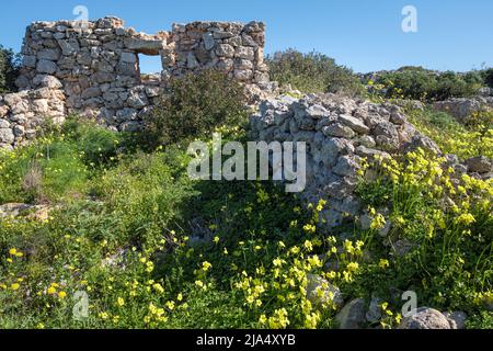 Resti di una capanna contadina in pietra sul Xemxija Heritage Trail, Bajda Ridge, Xemija, St Paul's Bay, Malta Foto Stock